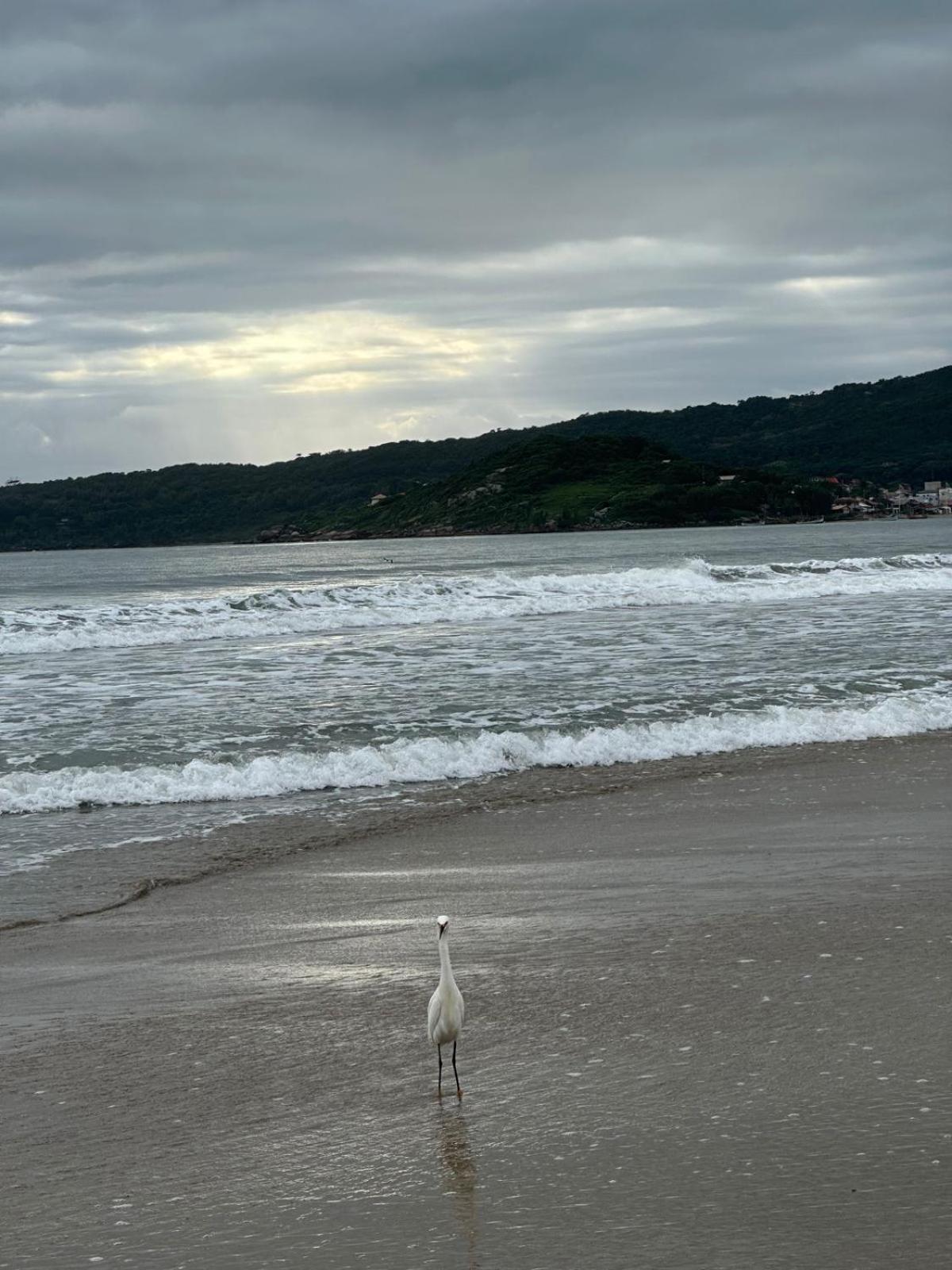 Pousada Paraiso Ap Proximo Ao Centro Da Praia De Baixo Lägenhet Palhoça Exteriör bild