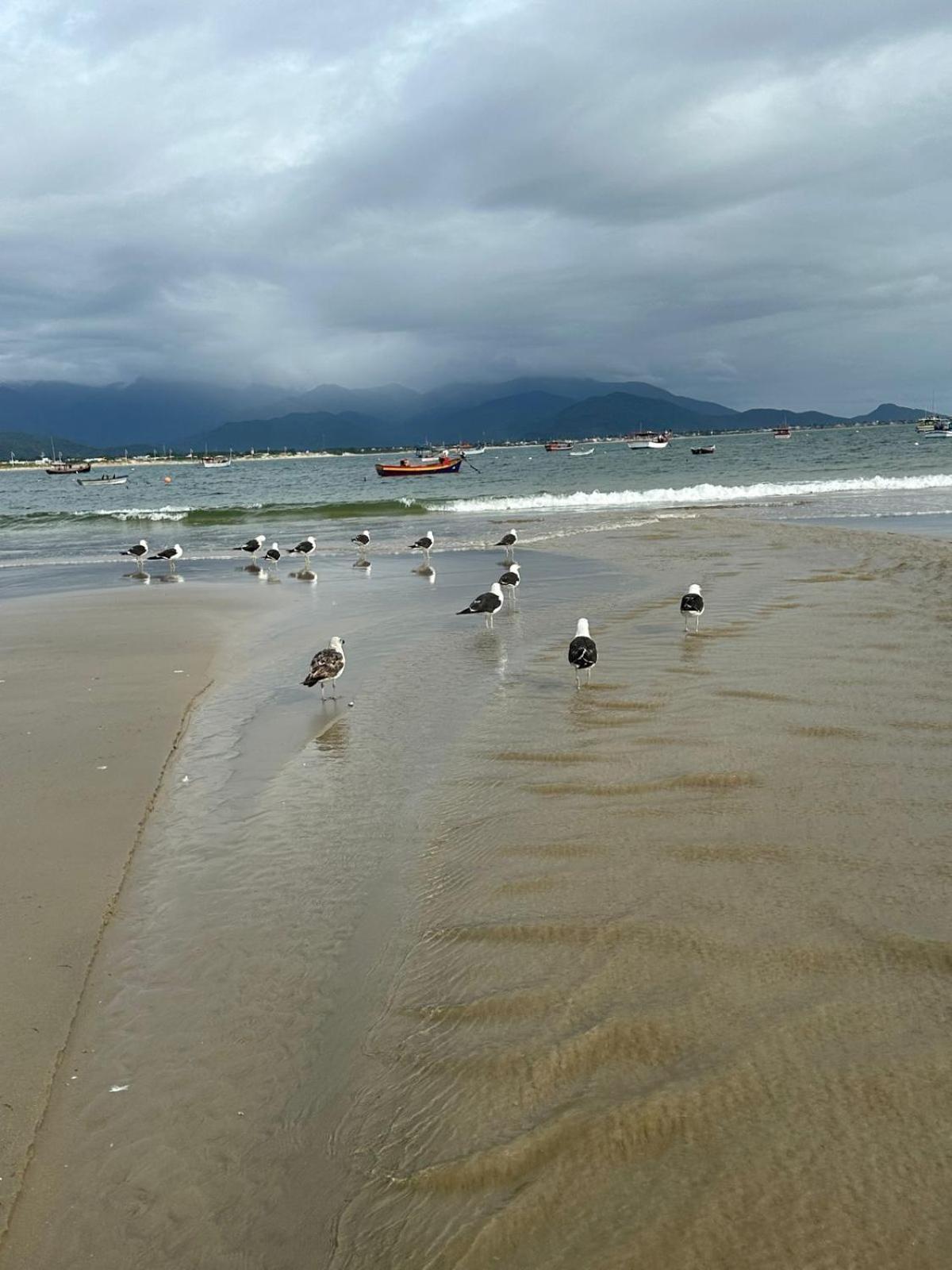 Pousada Paraiso Ap Proximo Ao Centro Da Praia De Baixo Lägenhet Palhoça Exteriör bild